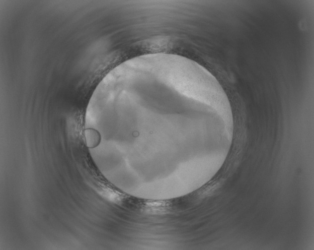 X0000076380240200611031637