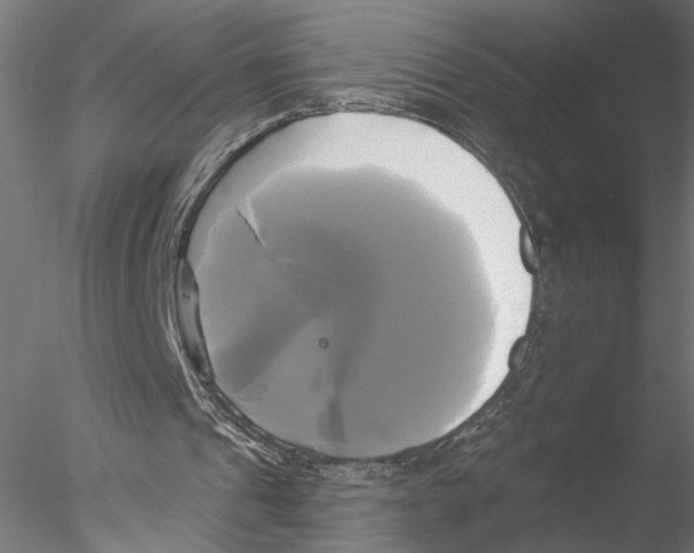 X0000076380241200611031636