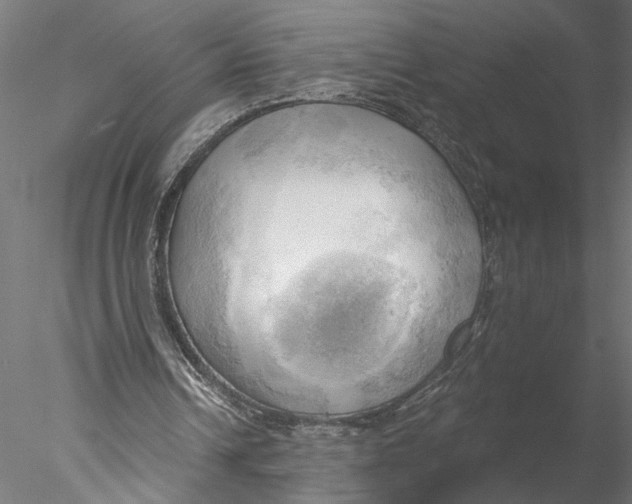 X0000076380242200611031636