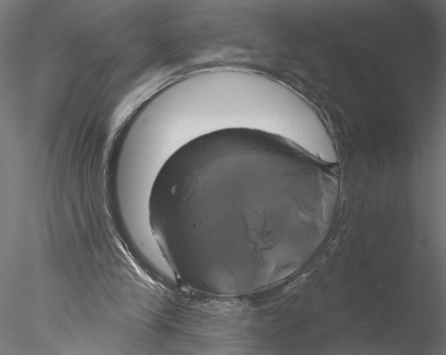 X0000076380245200611031637