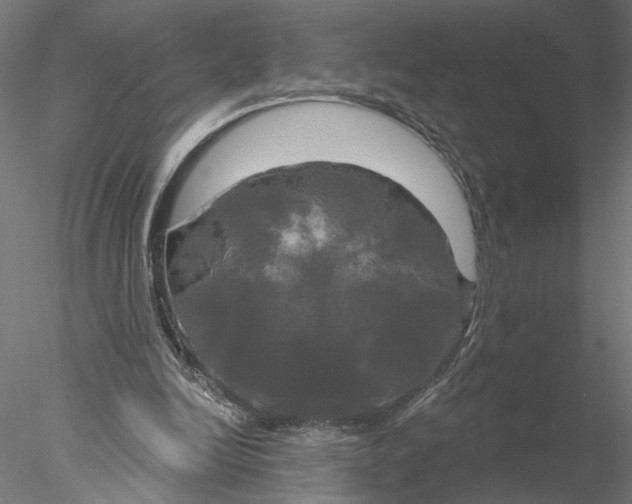 X0000076380246200611031637