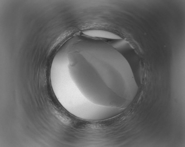 X0000076380250200611031637