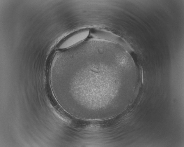 X0000076380252200611031637