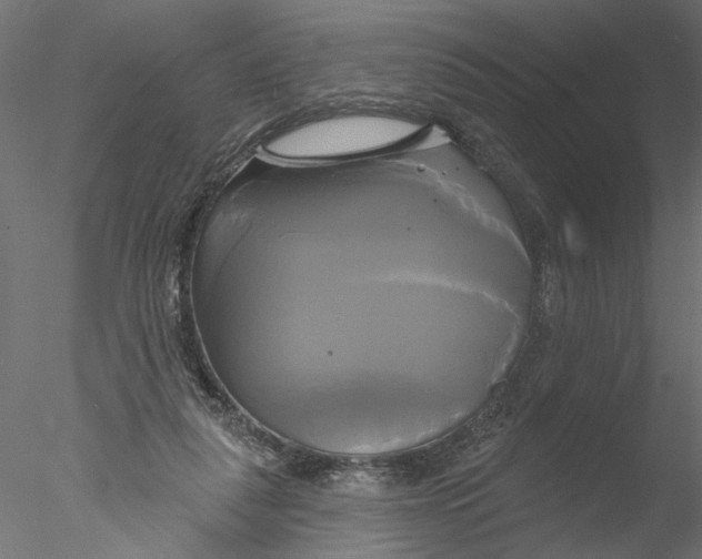 X0000076380259200611031637