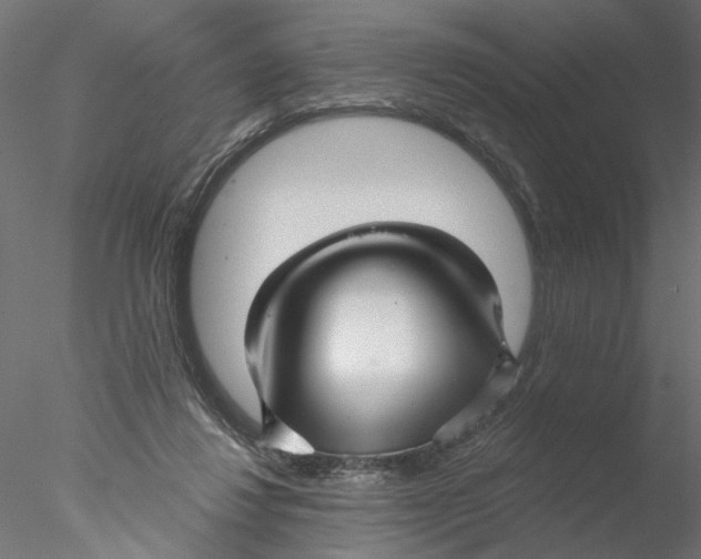 X0000076380260200611031637