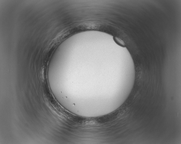 X0000076380262200611031637