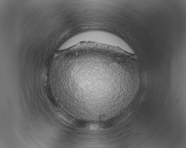 X0000076380264200611031637