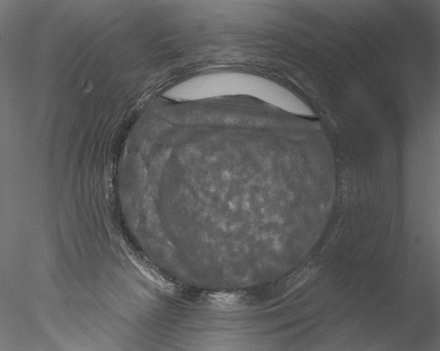 X0000076380265200611031637