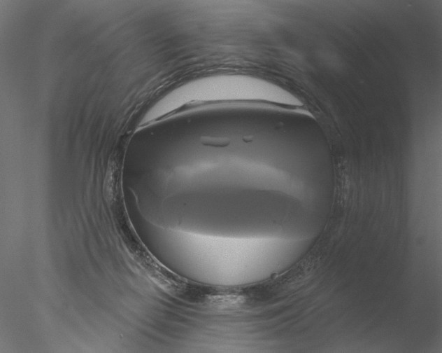 X0000076380266200611031637