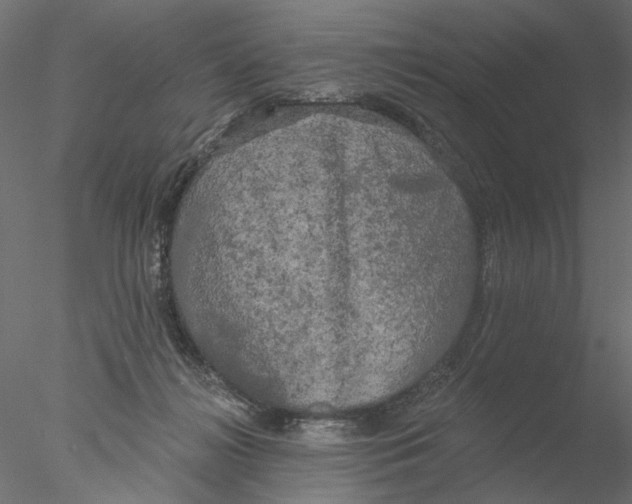 X0000076380268200611031637