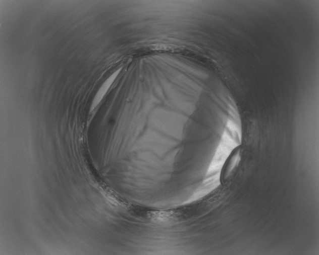 X0000076380273200611031637