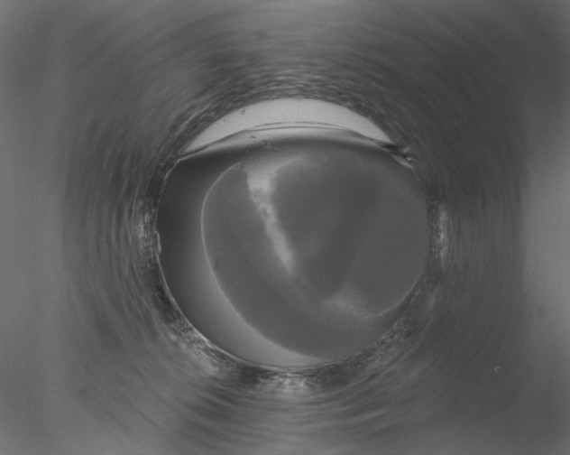 X0000076380276200611031637