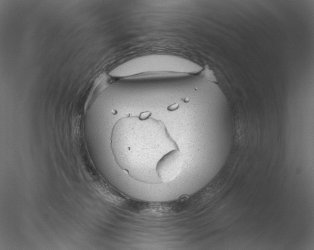 X0000076380278200611031637