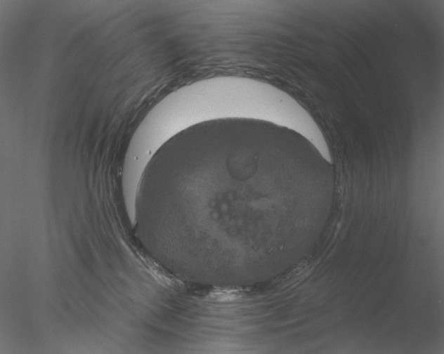 X0000076380280200611031637