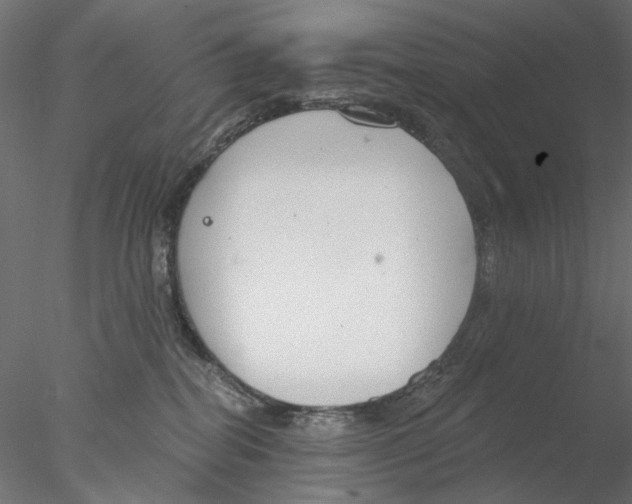 X0000076380282200611031637