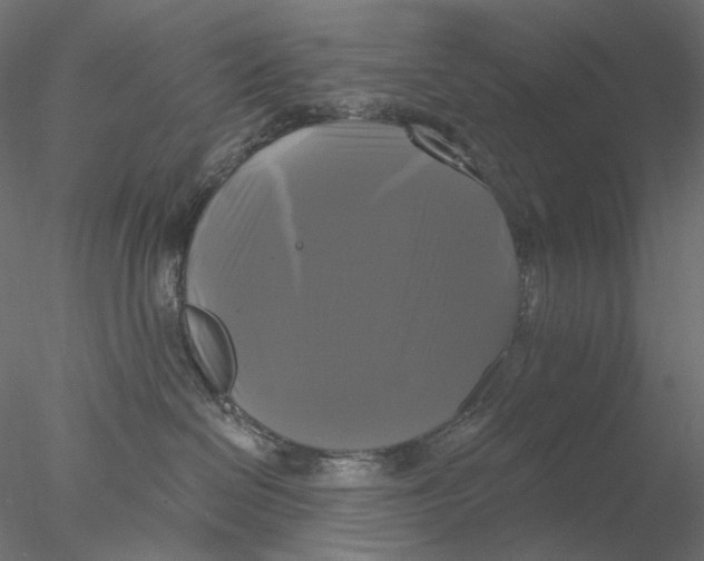 X0000076380286200611031637