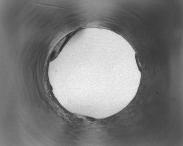 X0000076380289200611031636