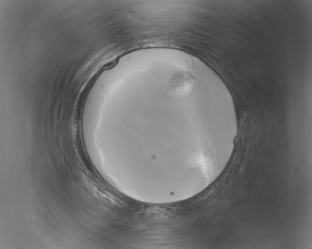 X0000076380290200611031636