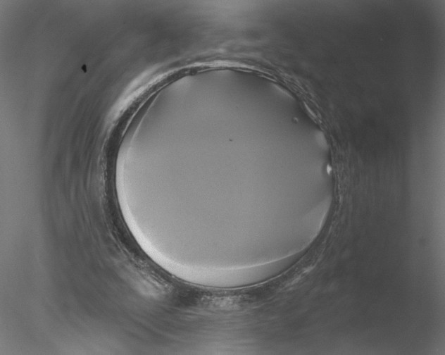 X0000076380295200611031636