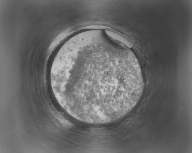 X0000076380296200611031636