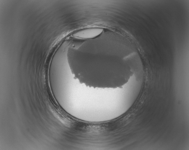 X0000076380298200611031636