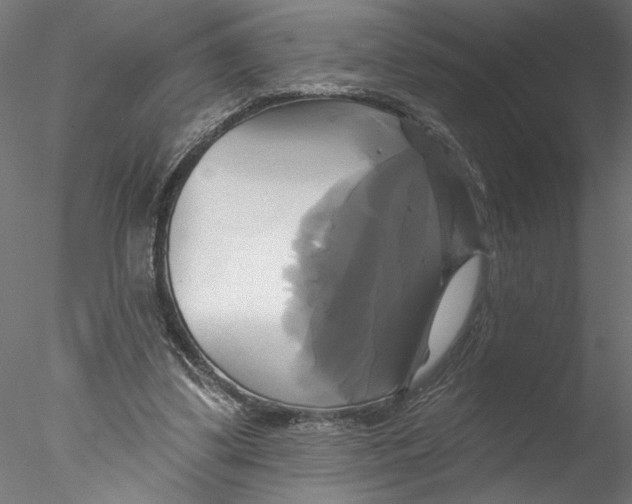 X0000076380299200611031636