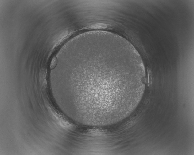 X0000076380300200611031636