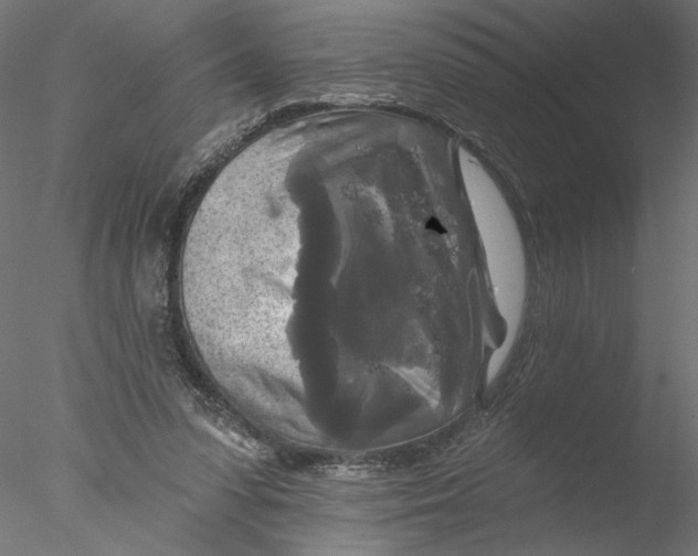 X0000076380303200611031636