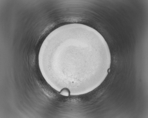 X0000076380304200611031636