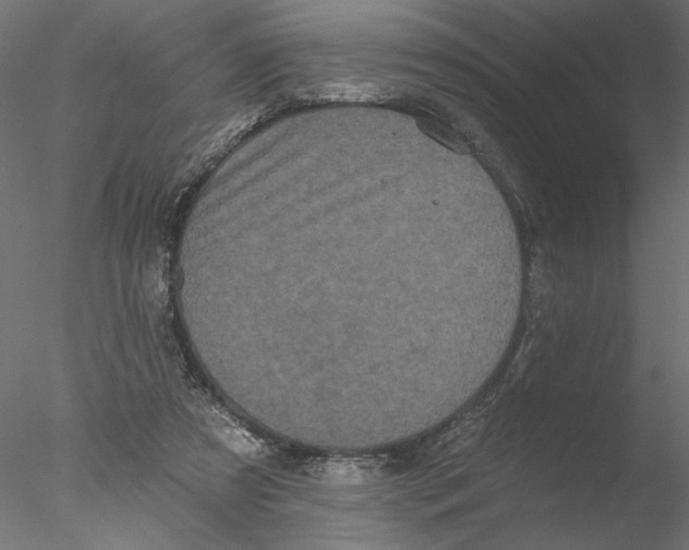 X0000076380305200611031636