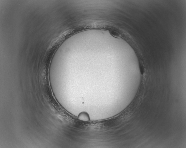 X0000076380306200611031636