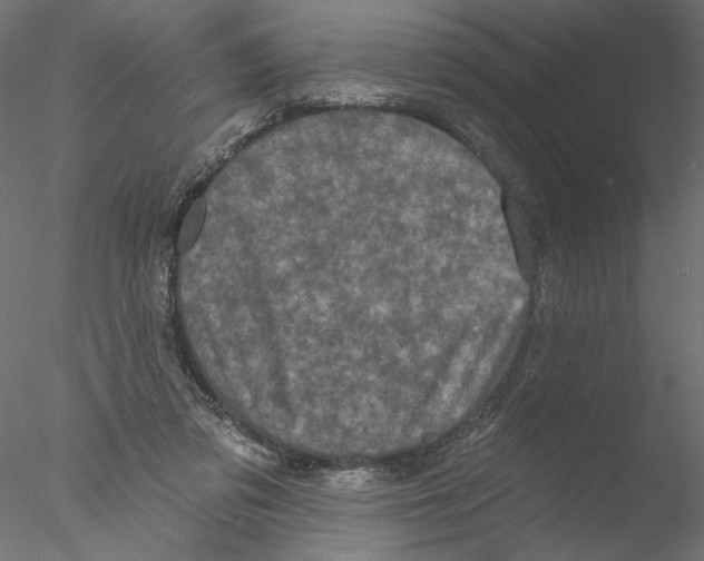 X0000076380309200611031636