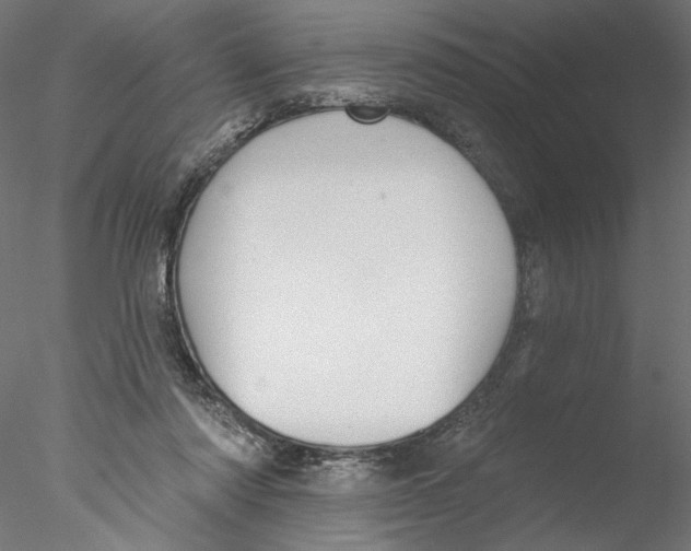 X0000076380310200611031636