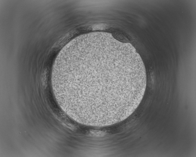 X0000076380311200611031636