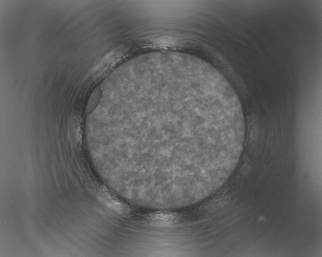 X0000076380313200611031636