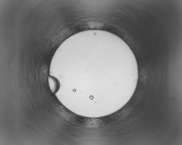 X0000076380321200611031636