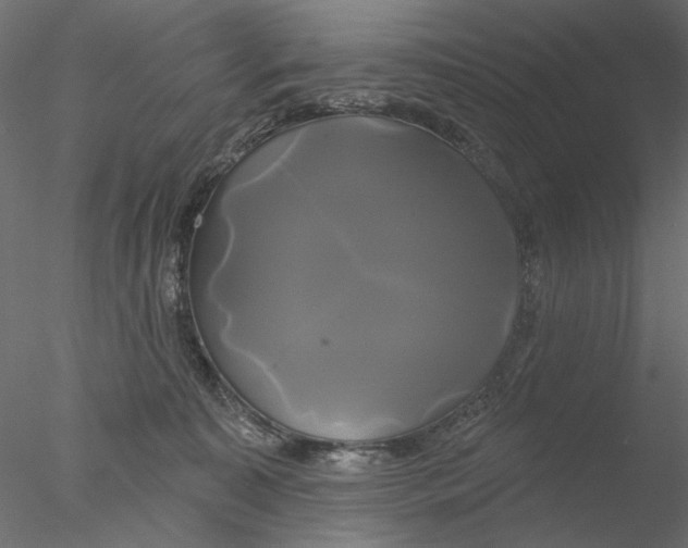 X0000076380323200611031636