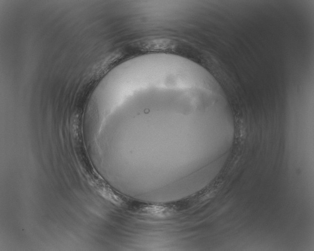 X0000076380326200611031636