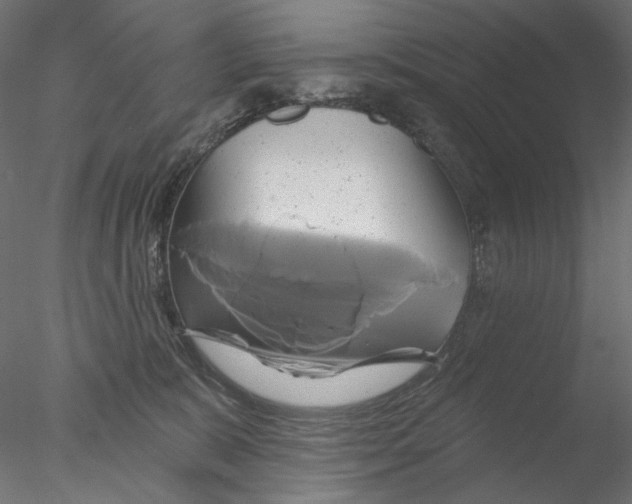 X0000076380327200611031636