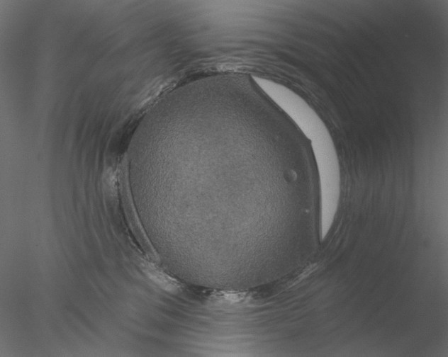 X0000076380329200611031636