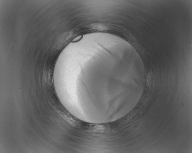 X0000076380330200611031636