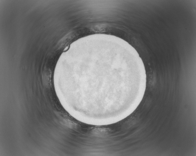 X0000076380332200611031636