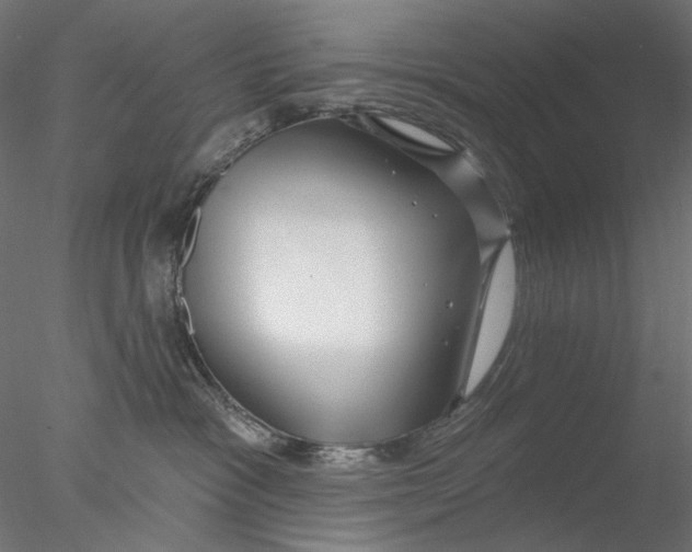 X0000076380333200611031636