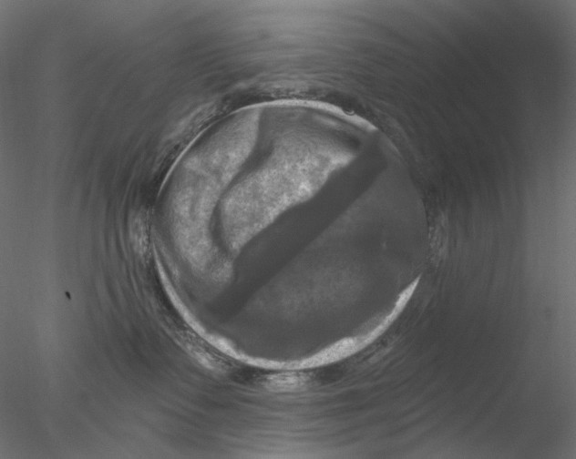 X0000076380335200611031636