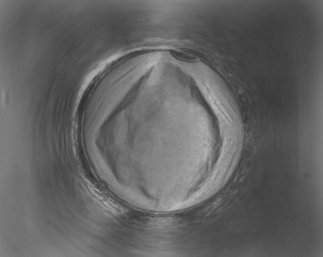 X0000076380342200611031635