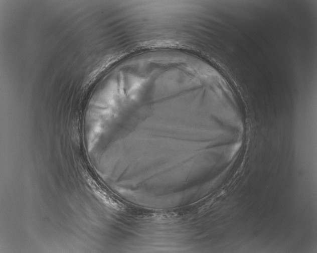 X0000076380345200611031635