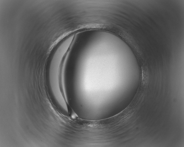 X0000076380348200611031635