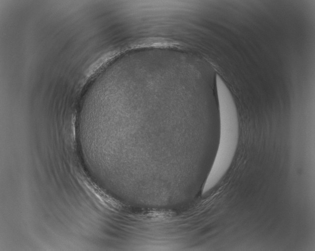 X0000076380350200611031635