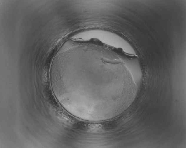 X0000076380355200611031635