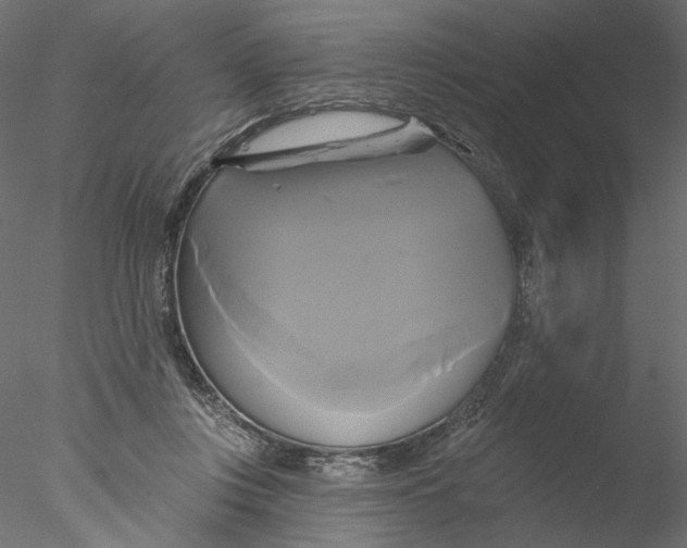 X0000076380359200611031635